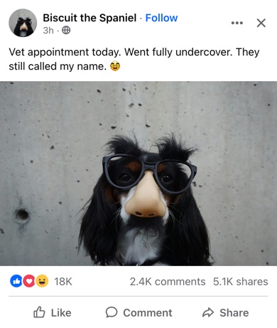 A fake Facebook post from a dog's page, a spaniel in a nose-and-glasses disguise, with 18K reactions, comments and shares