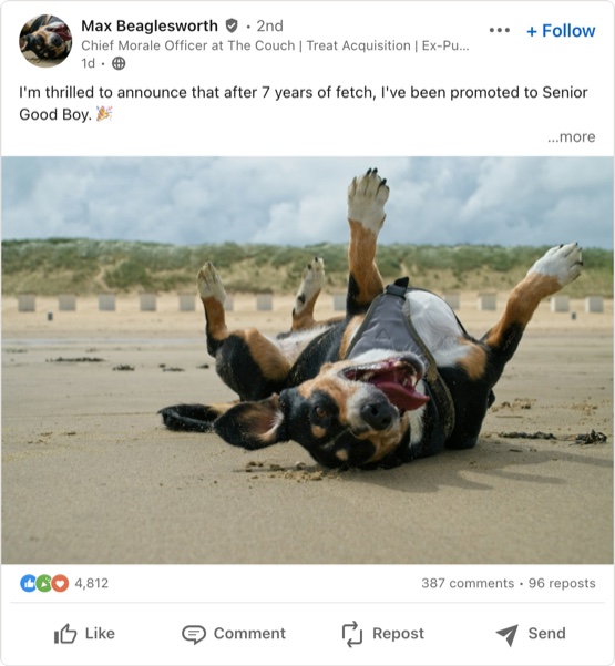 A LinkedIn post mockup in which a dog announces its promotion to Senior Good Boy, with a photo of it rolling on a beach and 4,812 reactions