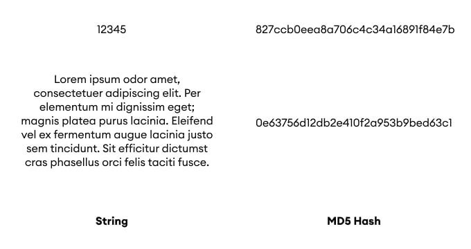MD5 Encrypt and Decrypt