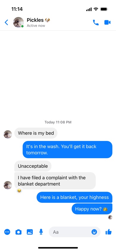 A fake Messenger chat with a pug named Pickles complaining that its bed is in the wash, with a laughing reaction and a Seen receipt