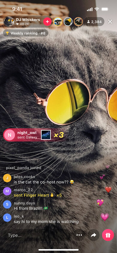 A fake TikTok LIVE screen of a cat in sunglasses hosting a stream, with comments, gifts and floating hearts