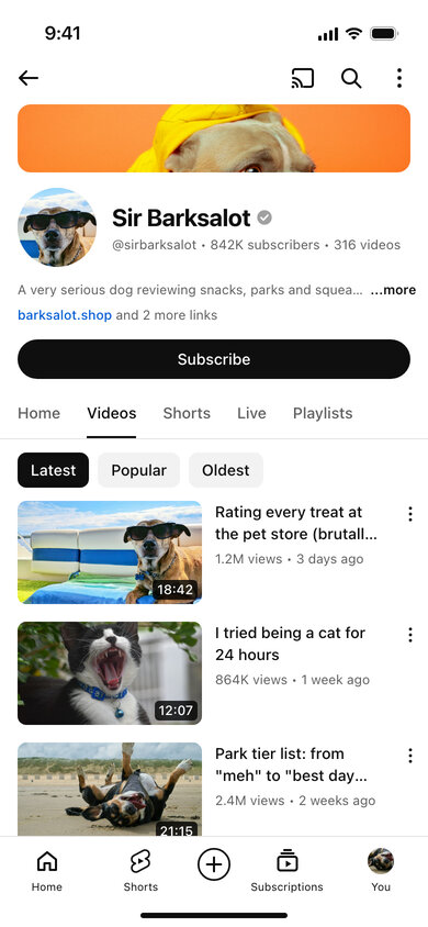 A fake YouTube channel page of a dog who reviews snacks, with video thumbnails and durations
